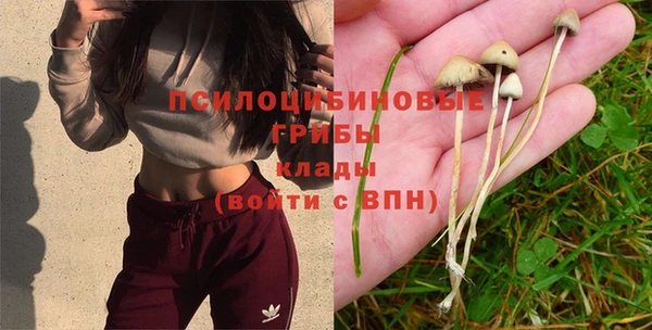 спиды Арсеньев