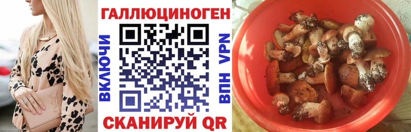 shop клад  Ухта  Псилоцибиновые грибы MAGIC MUSHROOMS 